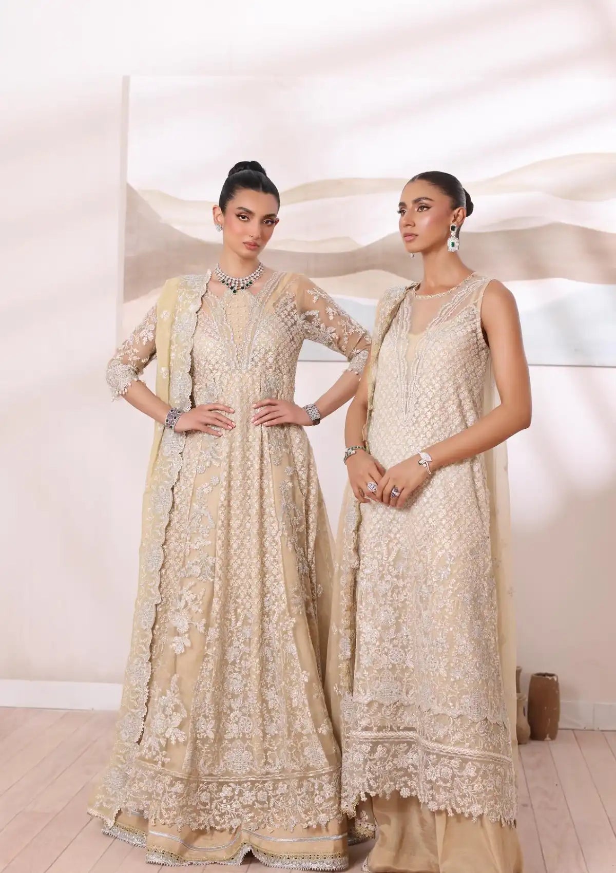 Noor by Saadia Asad Chiffon De Luxe'24 D-01 Nura