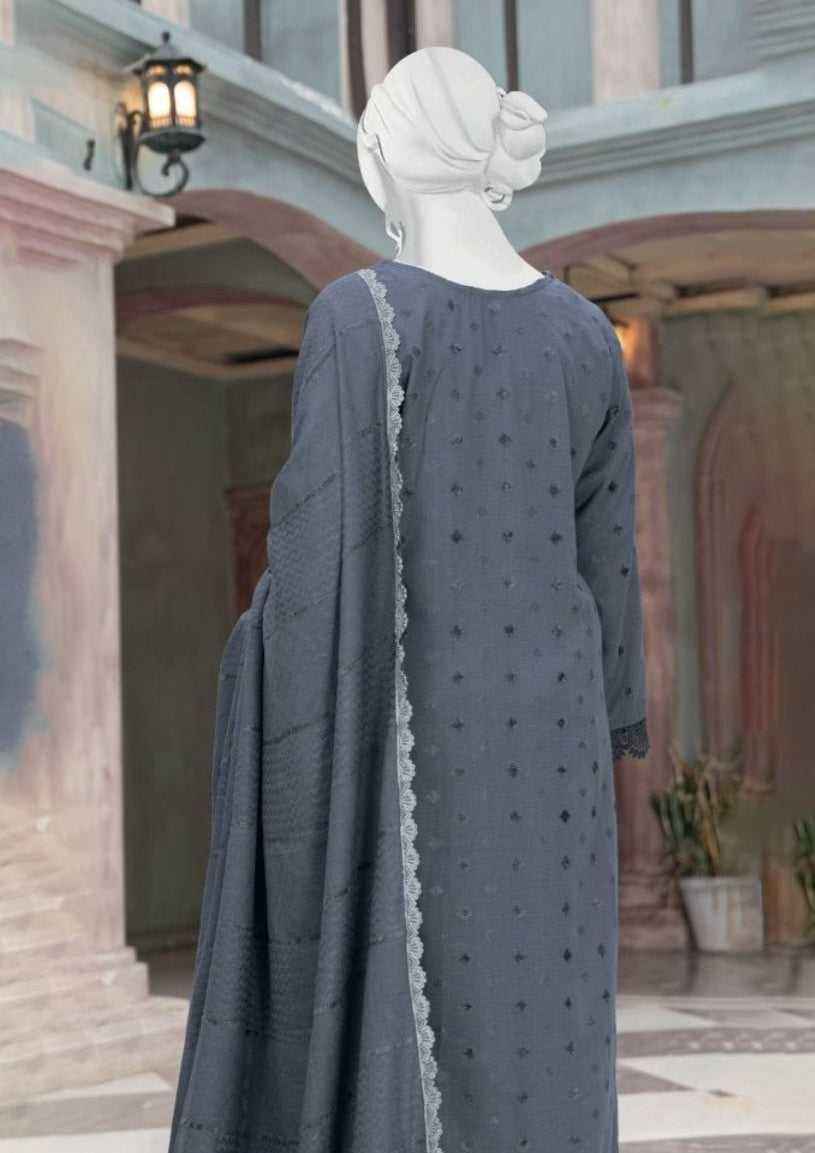 Pakeeza By ABC Chapter-2 Wool'25 D-03