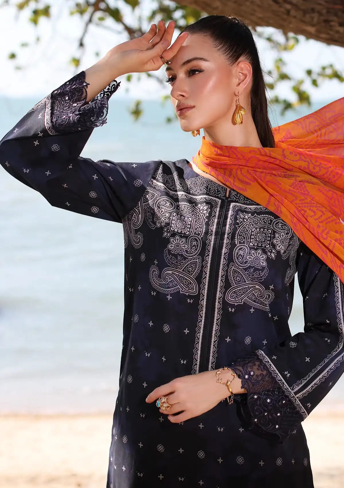 Charizma Aniq Emb Lawn'24 Vol-01 AN4-06 - Mohsin Saeed Fabrics