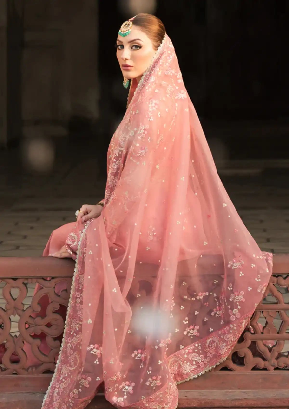 Ayzel Pehli Nazar Festive Chiffon'24 D-06 RUKHSAR - Mohsin Saeed Fabrics