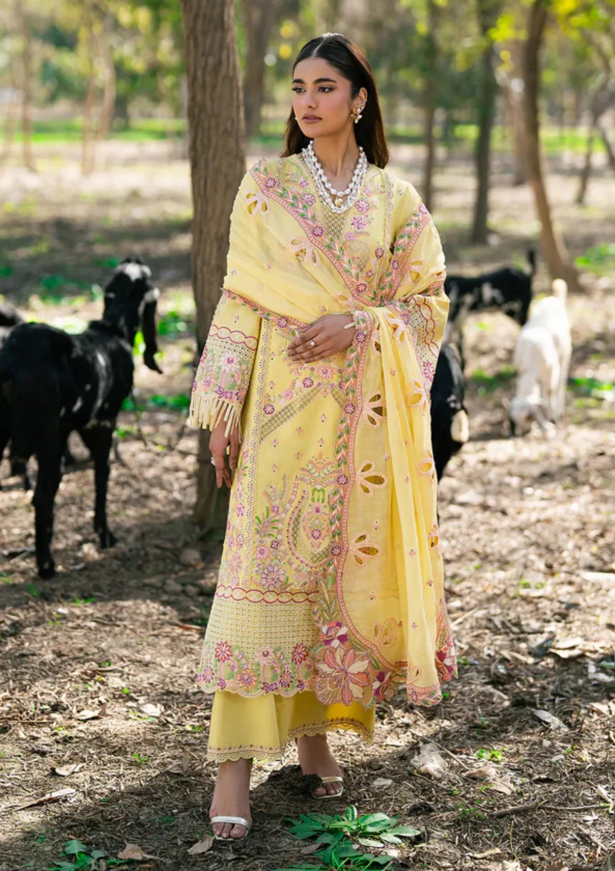 Zarizaa Aura of Flora Emb Lawn'26 D-05 HONEY