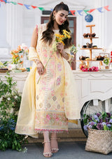 Bin Ilyas Clara Luxury Lawn'24 D-212-B - Mohsin Saeed Fabrics