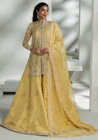 Khakaa Ruya Festive'25 D-01 Florent