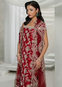 Khakaa Ruya Festive'25 D-04 Roja