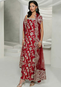 Khakaa Ruya Festive'25 D-04 Roja