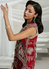 Khakaa Ruya Festive'25 D-04 Roja