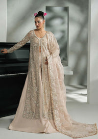 Khakaa Ruya Festive'25 D-07 Alicia