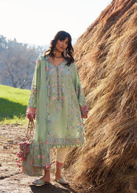 Zaha Meili Lawn'26 ZL-01B RUIMEI