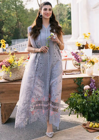 Bin Ilyas Clara Luxury Lawn'24 D-215-B - Mohsin Saeed Fabrics