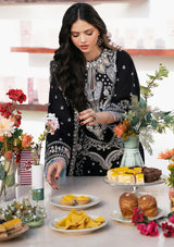 Bin Ilyas Clara Luxury Lawn'24 D-214-A - Mohsin Saeed Fabrics
