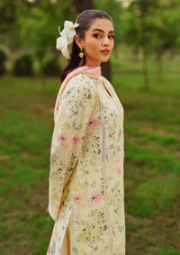 Summer Skies By Yards'24 D-05-Willow - Mohsin Saeed Fabrics