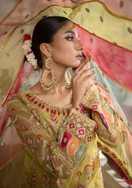 Noor-e-Jahan By Shahjahan Formal'24 SJ-23030-B - Mohsin Saeed Fabrics