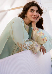 Bin Ilyas Clara Luxury Lawn'24 D-216-B - Mohsin Saeed Fabrics