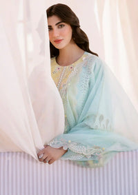 Bin Ilyas Clara Luxury Lawn'24 D-216-B - Mohsin Saeed Fabrics