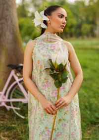 Summer Skies By Yards'24 D-01-Sage - Mohsin Saeed Fabrics