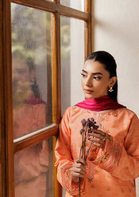 mohsin-saeed-fabrics-affordable-luxury-outfits-for-daily-formal-and-wedding-wear-This-product-is-from-rajbari-amari-jacquard25-d-04-is-available-on-Mohsin-saeed-fabrics-website.