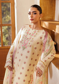 mohsin-saeed-fabrics-affordable-luxury-outfits-for-daily-formal-and-wedding-wear-This-product-is-from-rajbari-amari-jacquard25-d-03-is-available-on-Mohsin-saeed-fabrics-website.