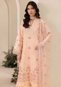 Rajbari Exclusive Edition'26 D-04