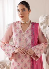 Rajbari Premium Edition'26 D-02