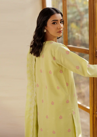 mohsin-saeed-fabrics-affordable-luxury-outfits-for-daily-formal-and-wedding-wear-This-product-is-from-rajbari-amari-jacquard25-d-08-is-available-on-Mohsin-saeed-fabrics-website.