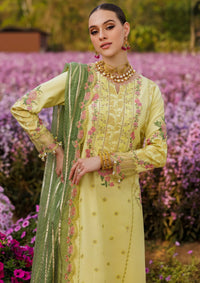 Charizma Zouq Festive Lawn'26 D-06