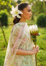 Summer Skies By Yards'24 D-01-Sage - Mohsin Saeed Fabrics