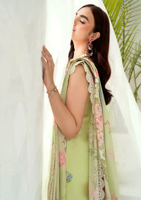 Bin Ilyas Riwaayat Spring Summer'24 D-306-A