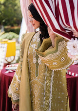 Bin Ilyas Clara Luxury Lawn'24 D-211-A - Mohsin Saeed Fabrics