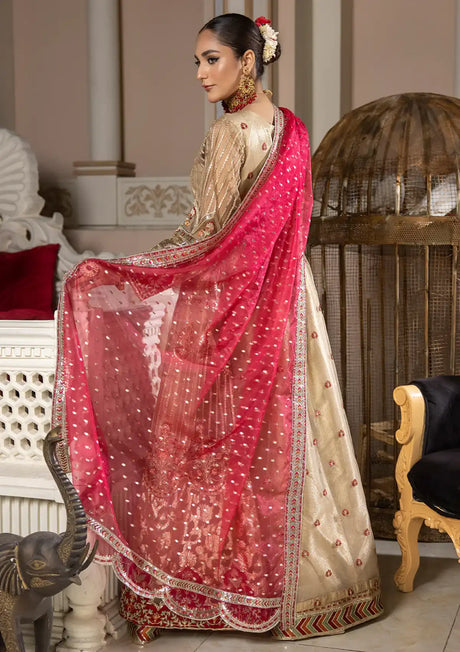 Noor-e-Jahan By Shahjahan Formal'24 SJ-23051-B - Mohsin Saeed Fabrics