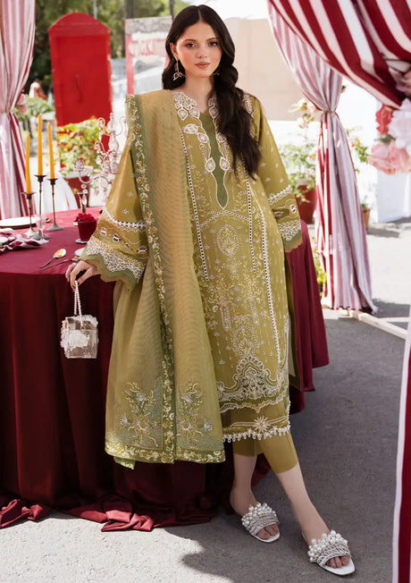 Bin Ilyas Clara Luxury Lawn'24 D-211-A - Mohsin Saeed Fabrics
