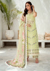 Bin Ilyas Riwaayat Spring Summer'24 D-306-A