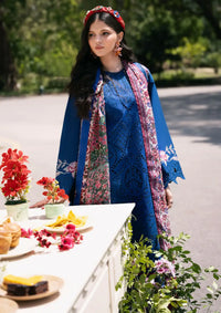 Bin Ilyas Clara Luxury Lawn'24 D-217-A