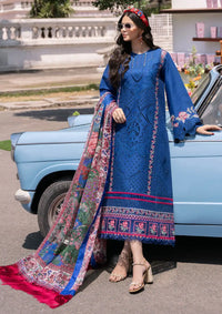 Bin Ilyas Clara Luxury Lawn'24 D-217-A