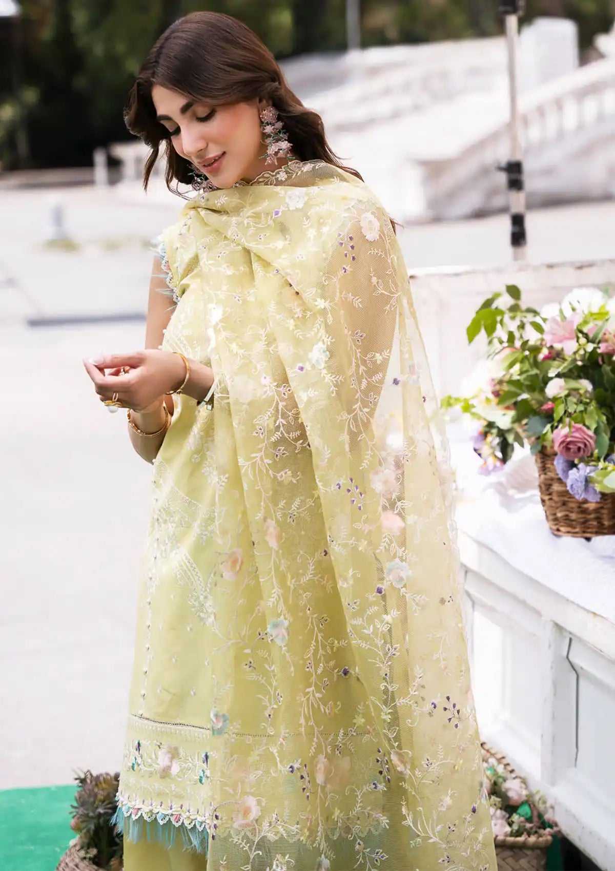 Bin Ilyas Clara Luxury Lawn'24 D-214-B - Mohsin Saeed Fabrics