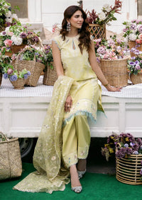 Bin Ilyas Clara Luxury Lawn'24 D-214-B - Mohsin Saeed Fabrics