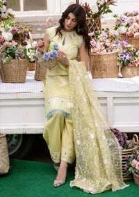 Bin Ilyas Clara Luxury Lawn'24 D-214-B - Mohsin Saeed Fabrics
