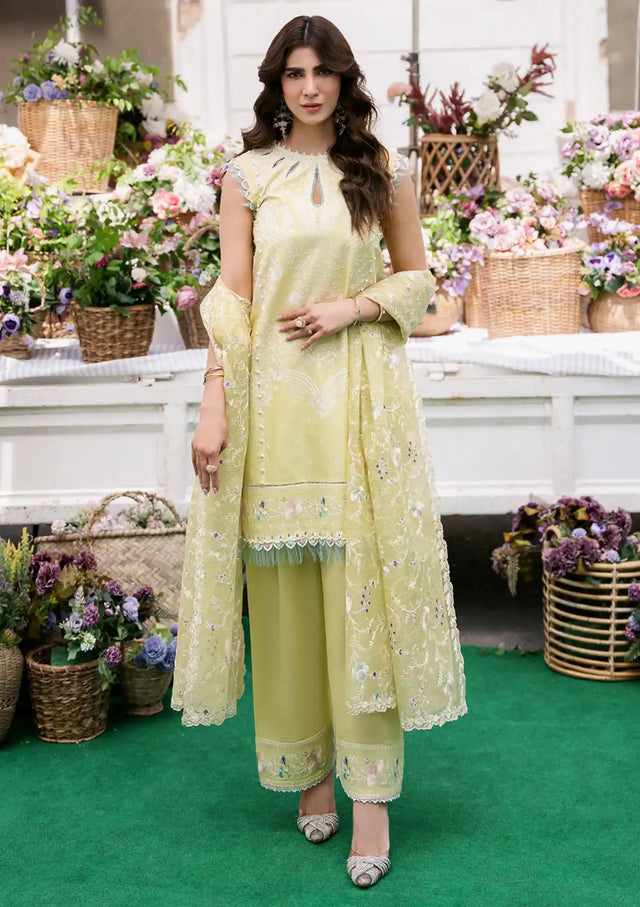 Bin Ilyas Clara Luxury Lawn'24 D-214-B - Mohsin Saeed Fabrics