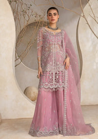 Rang Rasiya Chatoyer Wedding Formals'24 D-09 NATASHA