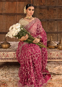Rang Rasiya Shehnaiyan Wedding'23 D-06 NAFISA