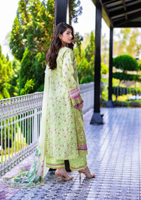 Eshaisha Printed & Emb Lawn Vol-3'26 EA-5593