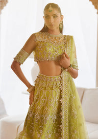 Zaha Gossamer Wedding Festive'25 ZC-01-Nooré Sitara