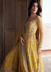 Zaha Gossamer Wedding Festive'25 ZC-02-Surajmukhi