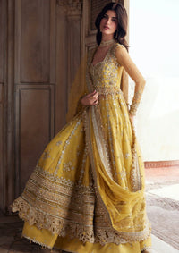 Zaha Gossamer Wedding Festive'25 ZC-02-Surajmukhi