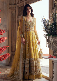 Zaha Gossamer Wedding Festive'25 ZC-02-Surajmukhi