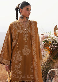 Zaha Winter'25 ZW25-10 HEER