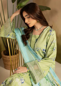 Ellena by Celts'26 EC-02