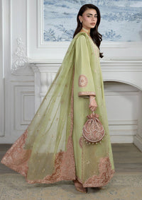 Rang Rasiya Lumeire Silk'26 D-08 Alma