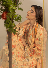 Ellena by Celts'26 EC-03