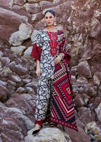 Zainab Chottani Winter Shawls'23 D-03 ASNA - Mohsin Saeed Fabrics