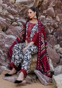 Zainab Chottani Winter Shawls'23 D-03 ASNA - Mohsin Saeed Fabrics